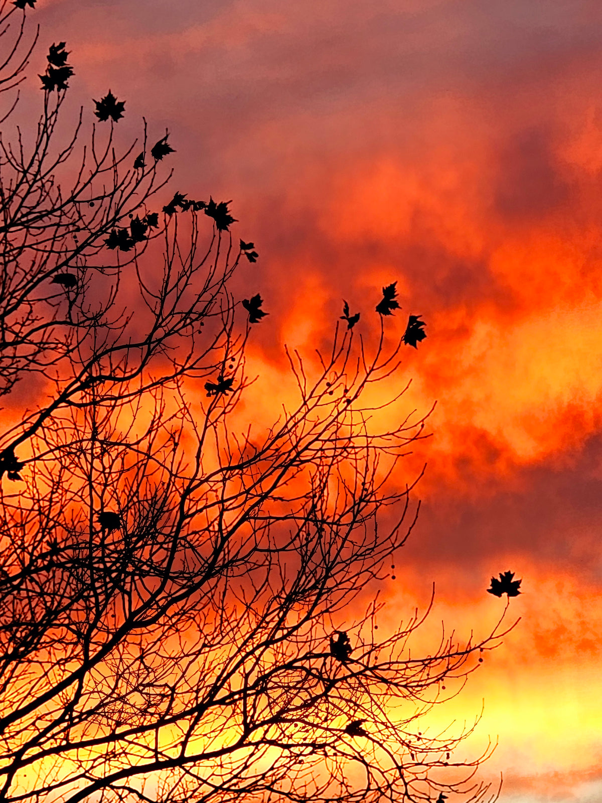 Skies & Silhouettes
