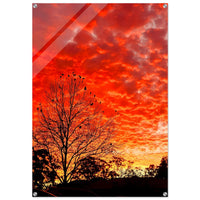 Evening's Encore — original photography by Chantel Elle