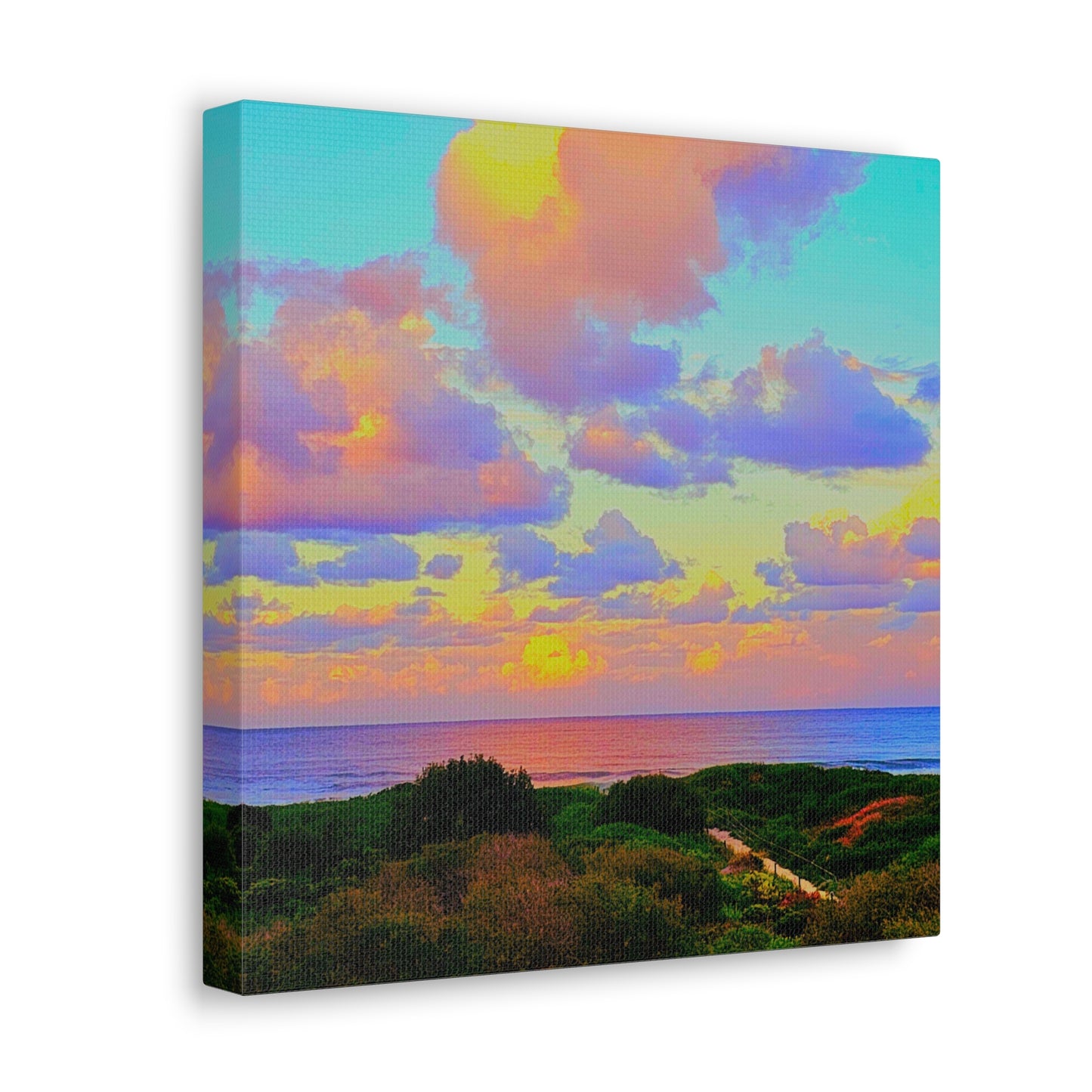 Cotton Candy Skies Canvas Print