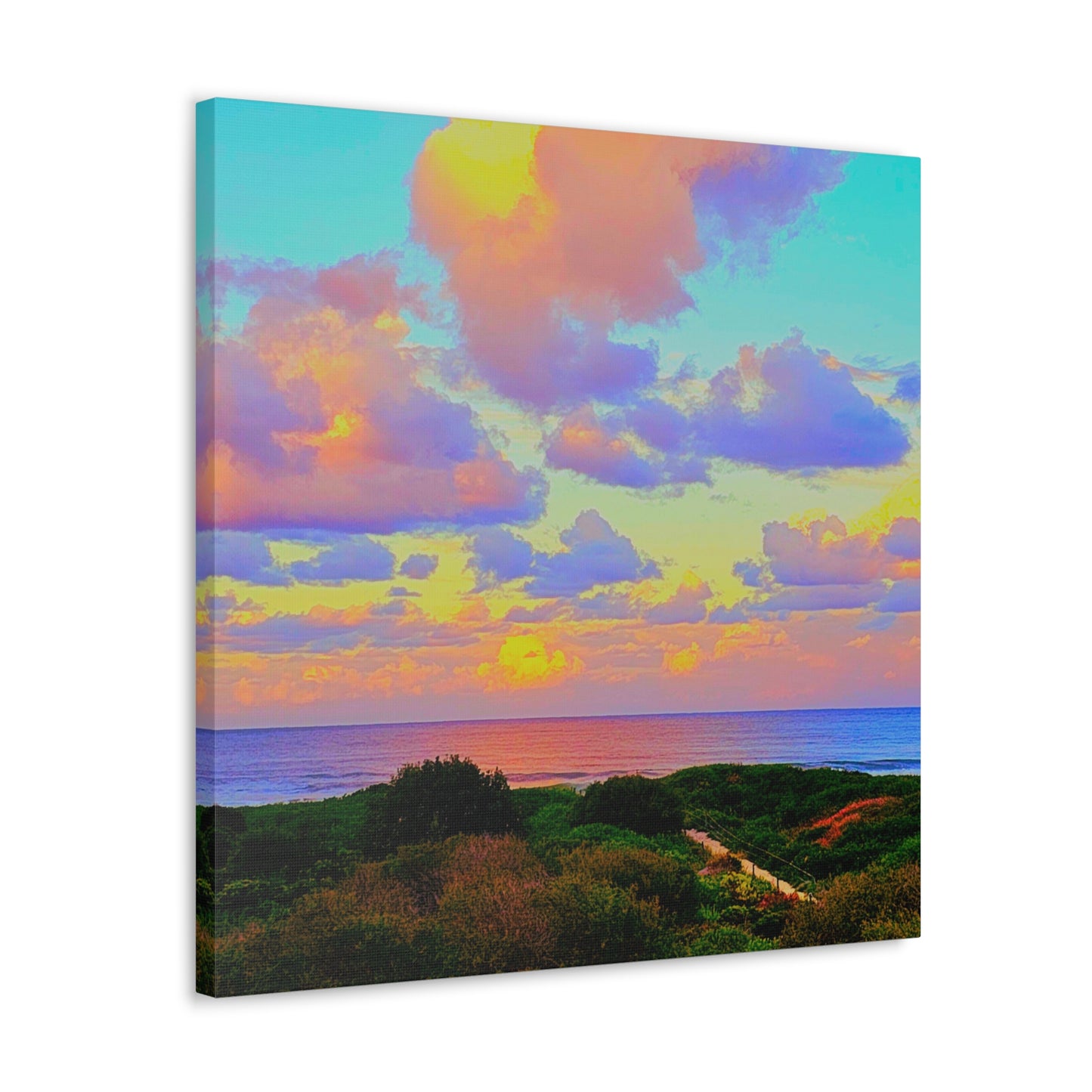 Cotton Candy Skies Canvas Print