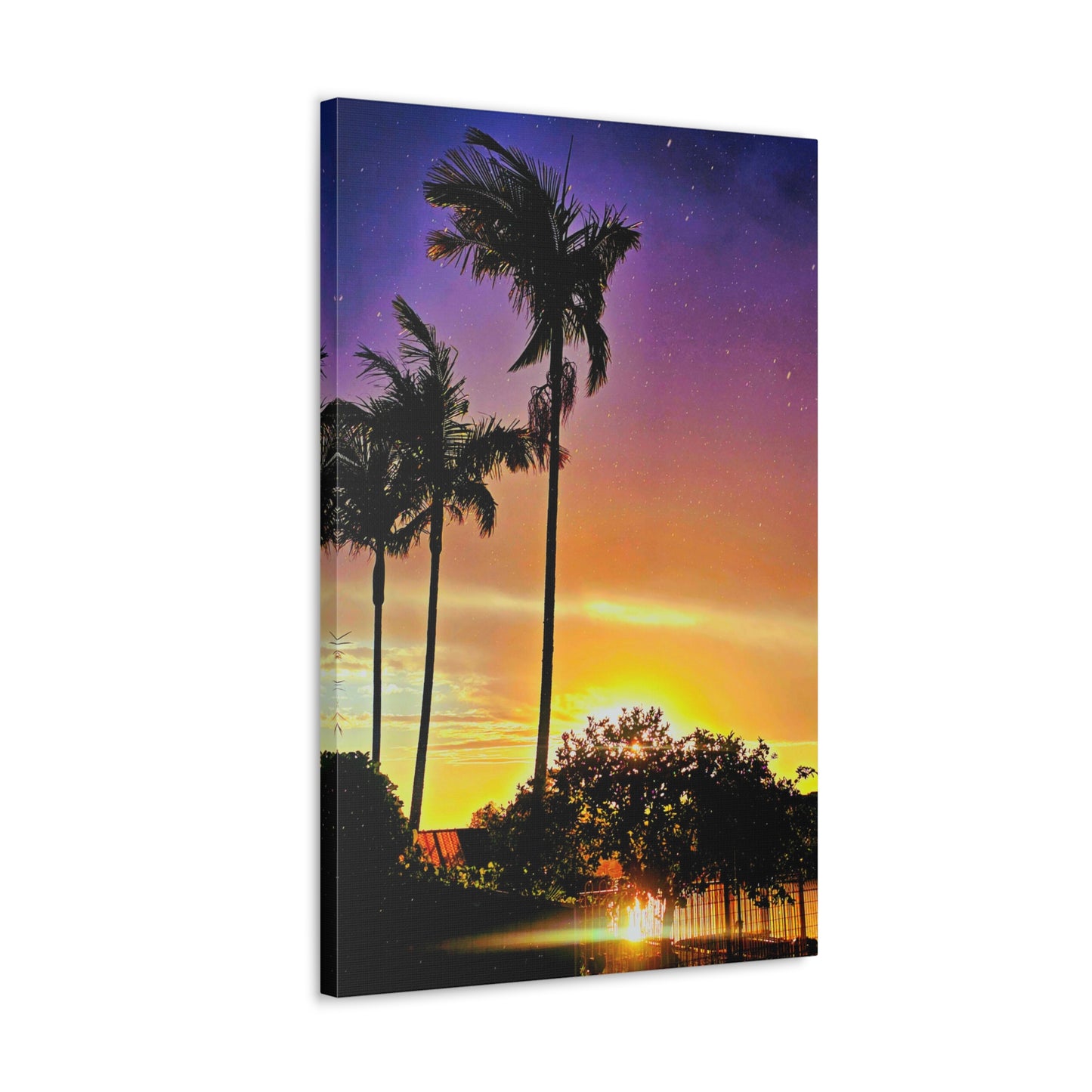 Kiss of Evening Light Canvas Print