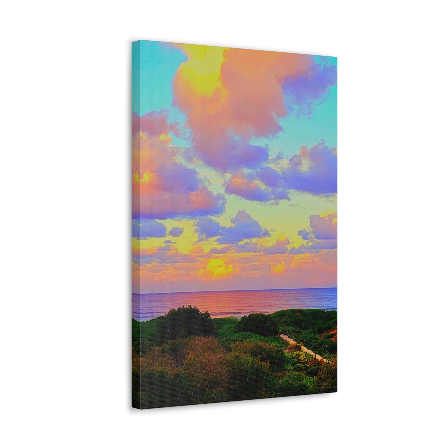 Cotton Candy Skies Canvas Print