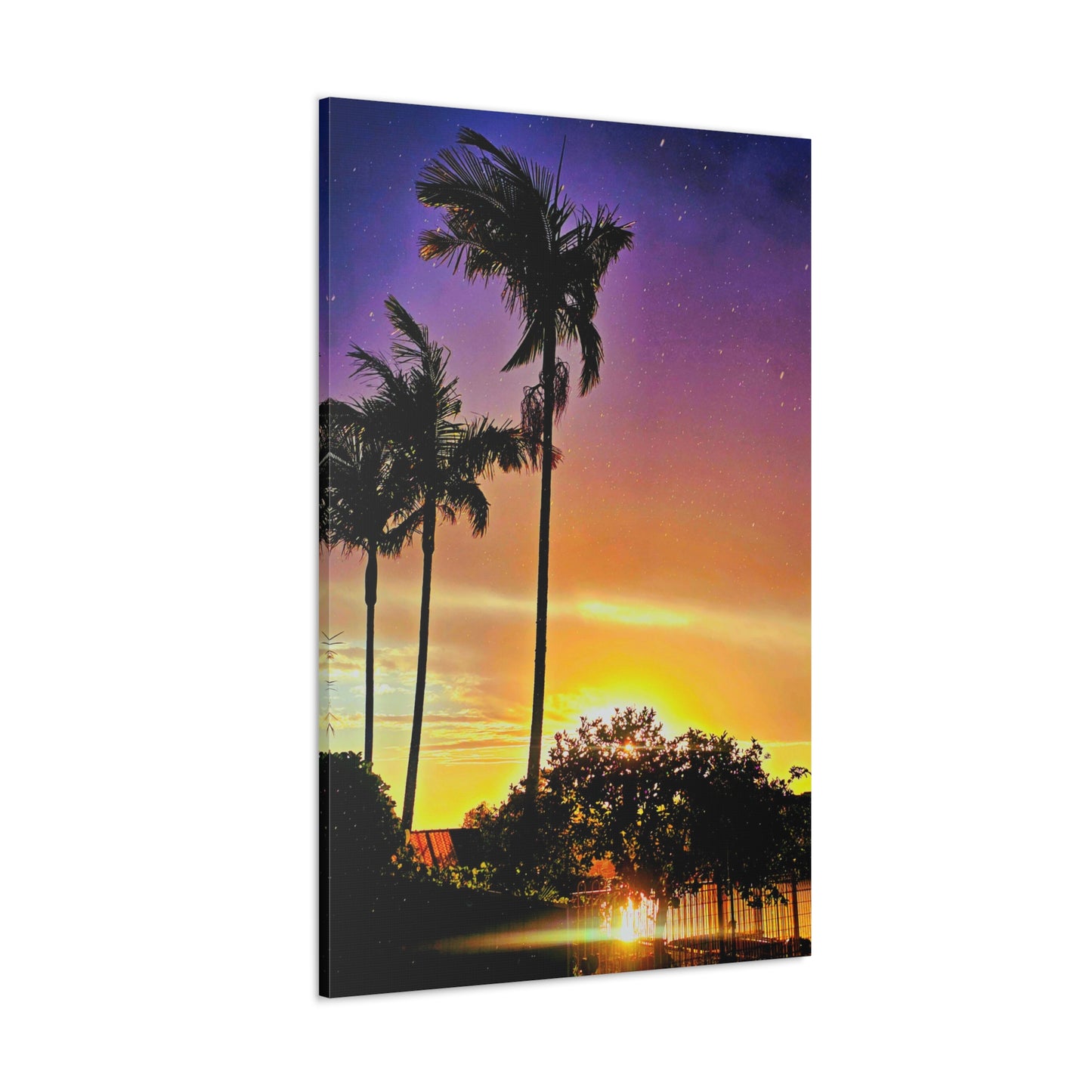 Kiss of Evening Light Canvas Print