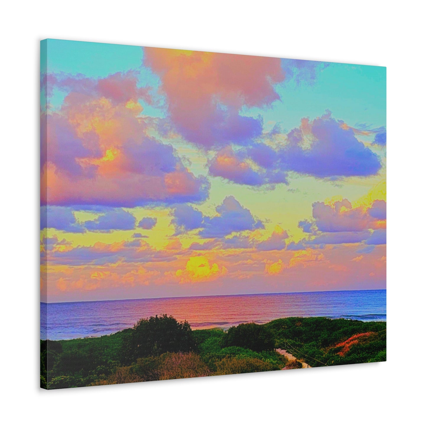 Cotton Candy Skies Canvas Print