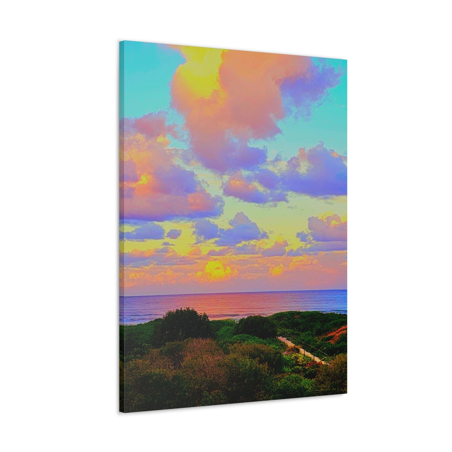 Cotton Candy Skies Canvas Print