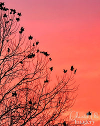 Ellevate review — Pink Sky Tree — watermarked artwork (20250615_170654)
