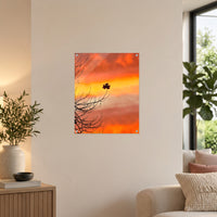 Ellevate review — 20250622_171153 — 40 × 50 cm acrylic wall mock-up; simulated reflections