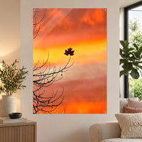 Ellevate review — 20250622_171153 — 70 × 100 cm acrylic wall mock-up; simulated reflections