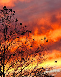 Ellevate review — 20250622_171358 — watermarked artwork