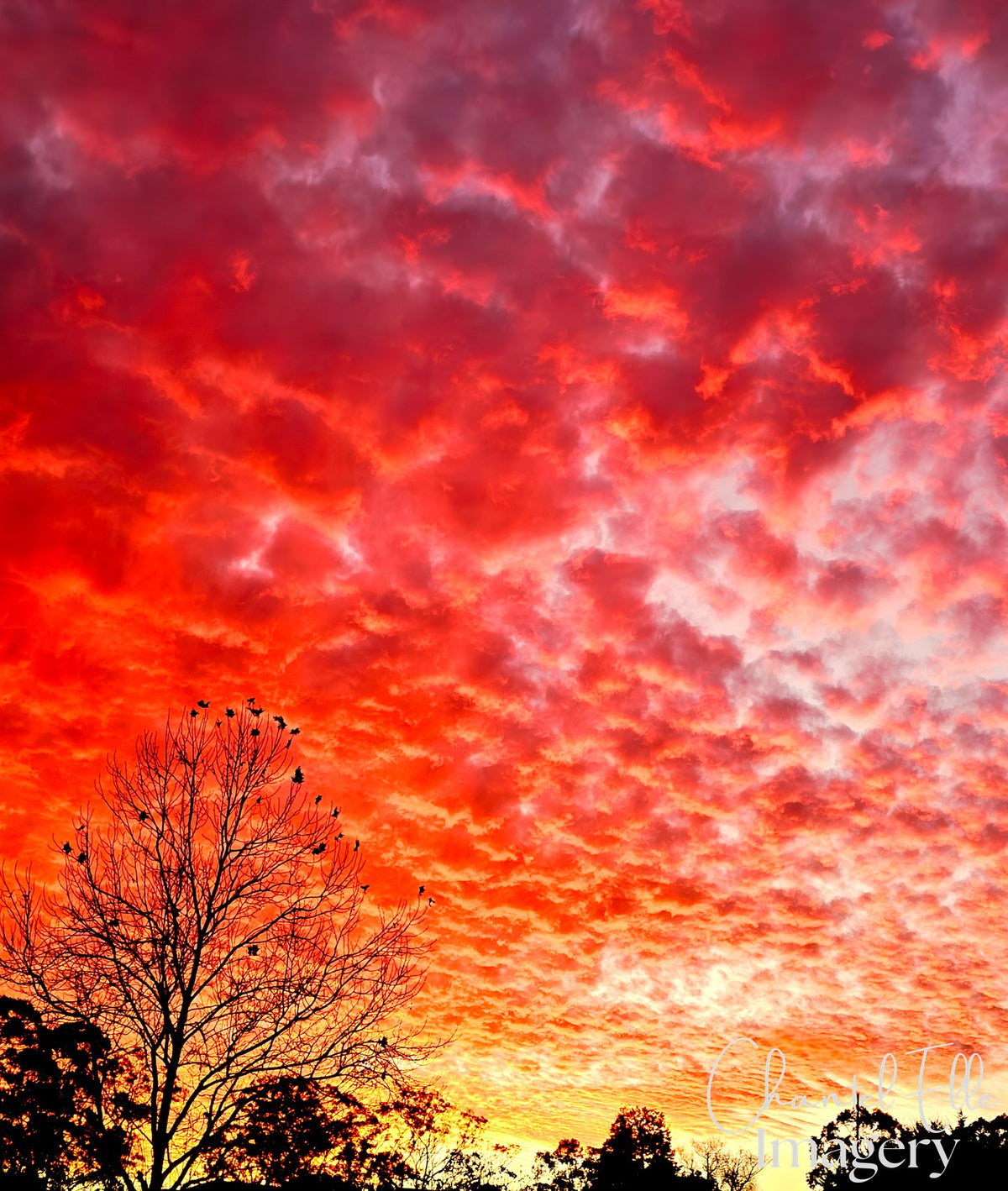 Sky on Fire — watermarked artwork