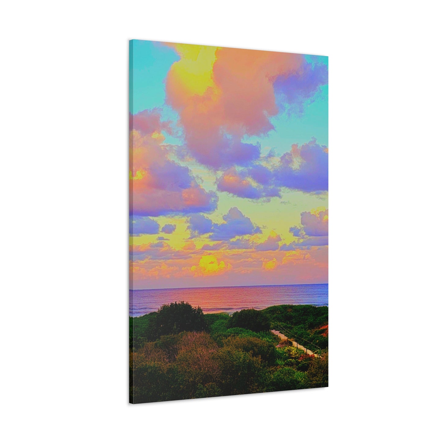 Cotton Candy Skies Canvas Print