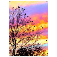 Pastel Reverie — original photography by Chantel Elle