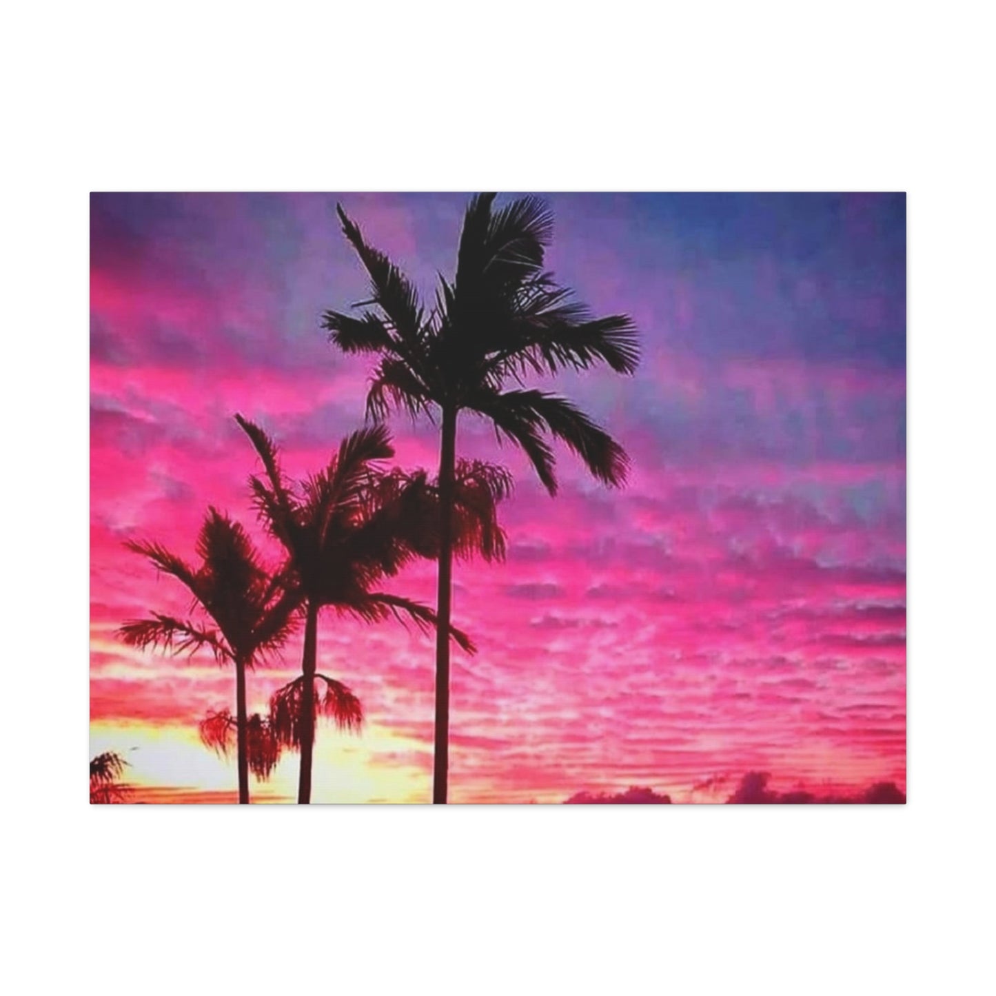 Cloudy Palms Canvas Print