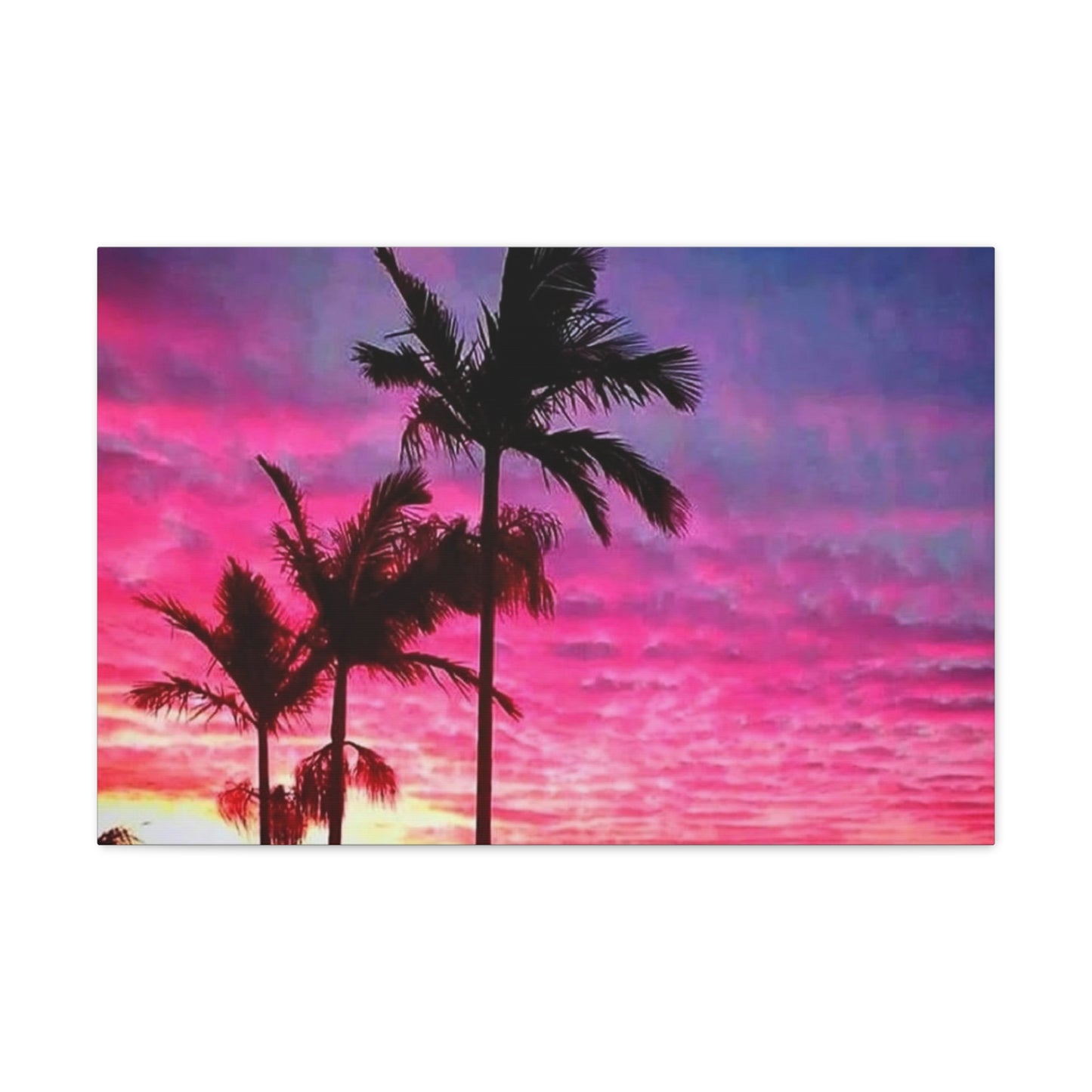 Cloudy Palms Canvas Print