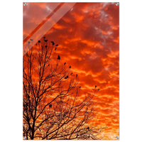Copper Lace — original photography by Chantel Elle