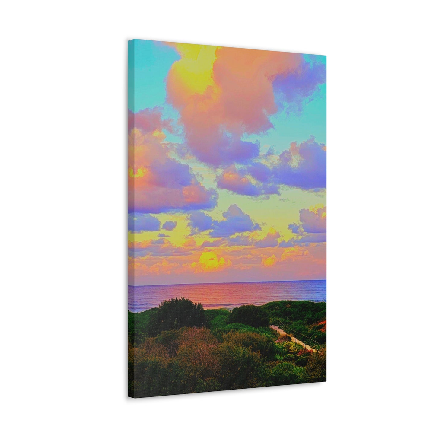 Cotton Candy Skies Canvas Print