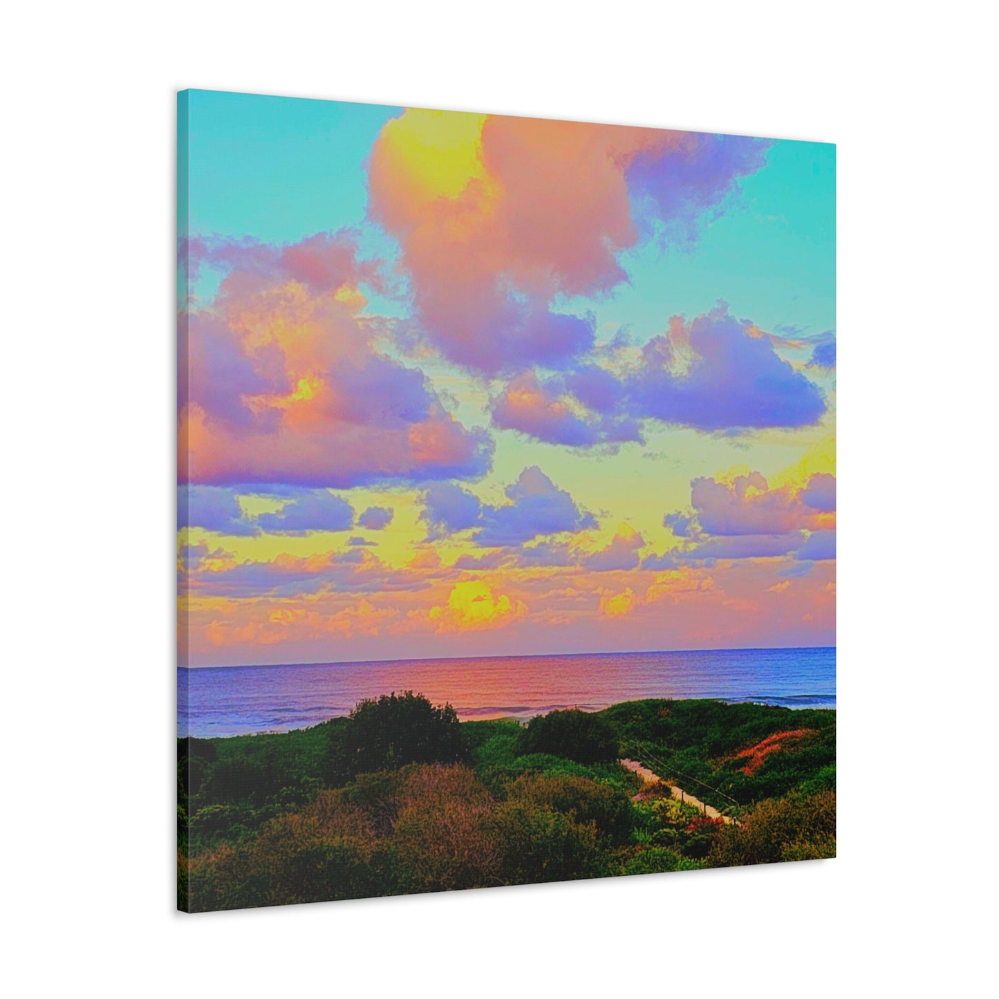 Cotton Candy Skies Canvas Print