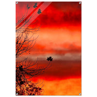 Crimson Stillness — original photography by Chantel Elle