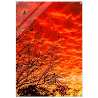 Scarlet Tapestry — original photography by Chantel Elle